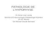 PATHOLOGIE DE LHYPOPHYSE Dr Anne-Lise Lecoq Service dEndocrinologie-Diabetologie-Nutrition (Pr M. Marre) GH Bichat-Claude Bernard.