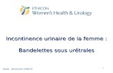1 Incontinence urinaire de la femme : Bandelettes sous urétrales Ibode – Novembre 2006 ST.