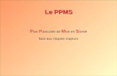 Le PPMS P lan P articulier de M ise en S ûreté face aux risques majeurs.