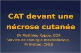 CAT devant une nécrose cutanée Dr Matthieu Koppe, CCA Service de chirurgie maxillofaciale, Pr Breton, CHLS.
