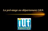 Le pré-stage au département GEA. Les étudiants du département GEA de l IUT de Nantes réalisent au cours du mois de Février une semaine de pré-stage. Cette.