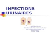 INFECTIONS URINAIRES T Doco-Lecompte Maladies Infectieuses et tropicales Commission spécialisée des antibiotiques 24 juin 2008.