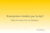 Entreprises visitées par la dp3 Dans le centre Zac en Salamon Par Mounir.