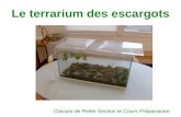 Le terrarium des escargots Classes de Petite Section et Cours Préparatoire.