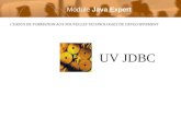 CURSUS DE FORMATION AUX NOUVELLES TECHNOLOGIES DE DEVELOPPEMENT UV JDBC Module Java Expert.
