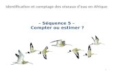 – Séquence 5 – Compter ou estimer ? Identification et comptage des oiseaux deau en Afrique 1.
