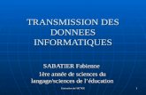Evaluation de l'UE TICE 1 TRANSMISSION DES DONNEES INFORMATIQUES SABATIER Fabienne 1ère année de sciences du langage/sciences de léducation.