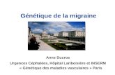 Génétique de la migraine Anne Ducros Urgences Céphalées, Hôpital Lariboisière et INSERM « Génétique des maladies vasculaires » Paris.
