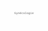 Gynécologie. Appareil génital féminin INTERROGATOIRE Age Antécédents gynécologiques: - premières règles, cycles, ménopause - pathologie gynécologique.