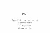 MST Syphilis primaire et secondaire Chlamydiae Gonococcie.