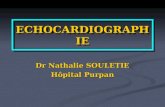 ECHOCARDIOGRAPHIE Dr Nathalie SOULETIE Hôpital Purpan.