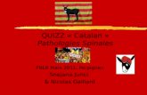 QUIZZ « Catalan » Pathologies Spinales FNLR Mars 2011, Perpignan Snejana Jurici & Nicolas Gaillard.