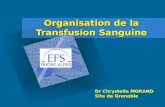 Organisation de la Transfusion Sanguine Dr Chrystelle MORAND Site de Grenoble.