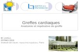 Greffes cardiaques Anatomie et impérative de greffe M. LAALI, EFPMO 2010 Institute de coure, Hôpital Pitié-Salpêtrière, Paris.