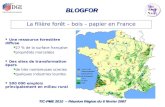 BLOGFOR TIC-PME 2010 – Réunion Région du 8 février 2007 La filière forêt – bois – papier en France Une ressource forestière diffuse 27 % de la surface.