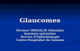 Glaucomes Docteur GRIMALDI Sébastien Assistant spécialiste Service dOphtalmologie Centre Hospitalier de Gonesse.