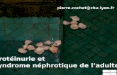 Protéinurie et syndrome néphrotique de ladulte pierre.cochat@chu-lyon.fr.