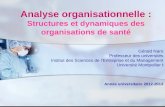 Analyse organisationnelle : Structures et dynamiques des organisations de santé Gérald Naro Professeur des universités Institut des Sciences de lEntreprise.