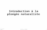 Introduction à la plongée naturaliste 11 avril 2013Nicolas LEVEAU1.
