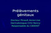 Prélèvements génitaux Docteur Pinault Anne-Lise Dermatologue CHU Nancy Responsable du CIDDIST.