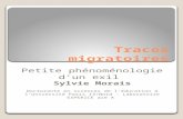 Traces migratoires Petite phénoménologie dun exil Sylvie Morais Doctorante en sciences de léducation à lUniversité Paris 13/Nord - Laboratoire EXPERICE.