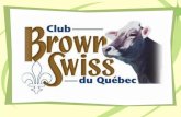 La Mission Le Club Brown Swiss du Québec a pour mission de promouvoir lélevage et le développement de la race Suisse Brune ainsi que de renseigner et.