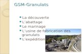 La découverte Labattage Le marinage Lusine de fabrication des granulats Lexpédition GSM-Granulats.