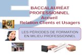 BACCALAURÉAT PROFESSIONNEL Accueil Relation Clients et Usagers LES PÉRIODES DE FORMATION EN MILIEU PROFESSIONNEL.
