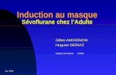 Nov 2005 Induction au masque Sévoflurane chez lAdulte Gilles AMOIGNON Hugues DERIAZ Hôpital St Antoine PARIS.