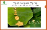 10/31/071 Technologie Verte dExtraction dOr de Nichromet.