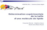 Détermination expérimentale de la taille dune molécule de lipide Françoise Mernier - Delphine Hanus Haute Ecole Blaise Pascal FORFOR 2011 – Sciences 2ème.
