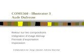 COM1560 - Illustrator 3 Aude Dufresne Retour sur les compositions Intégration dimage Bitmap Formats dexportation Impression Collaboration de: Jorge Zeledon,
