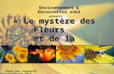 « Le mystère des Fleurs et de la pollinisation» Environnement & Découvertes asbl Expo-jeu: nouvelle version 2012 présente.