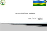 HAKIZIMANA GASPARD Rwanda Rwanda. Contexte historique Structure organisationnelle Cotisation et collecte Bénéfices Contractualisation PEC des groupes.