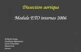 Dissection aortique Module ETO internes 2006 M.Michel-Cherqui Anesthésiste-Réanimateur Service dAnesthésie Hôpital Foch Suresnes.