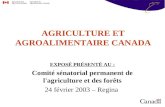 AGRICULTURE ET AGROALIMENTAIRE CANADA EXPOSÉ PRÉSENTÉ AU : Comité sénatorial permanent de l'agriculture et des forêts 24 février 2003 – Regina.