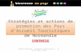 Stratégies et actions de promotion des Pays dAccueil Touristiques de Normandie SYNTHESE Réunion technique « Promotion-Communication » - le 26 mai 2011.