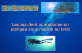 Les accident et anatomie en plongée sous marine au fond.