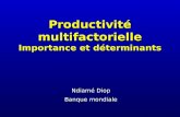 Productivité multifactorielle Importance et déterminants Ndiamé Diop Banque mondiale.