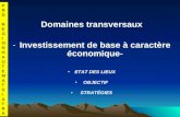 Domaines transversaux -Investissement de base à caractère économique- ETAT DES LIEUX OBJECTIF STRATÉGIES PRDREGIONHAUTEMATSIATRAPRDREGIONHAUTEMATSIATRA.