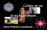 La Fleur de Vie Et les Sages Mayas Vers lHomo Luminous…