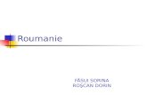 Roumanie FĂSUI SORINA ROŞCAN DORIN. carte Roumanie.