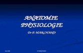 Juin 2008 P. MARCHAND ANATOMIE PHYSIOLOGIE Dr P. MARCHAND