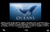 "Océans", plus de 100 espèces filmées, certaines pour la première fois... Cinq années de production, un budget de 50 millions d'euros, 14 cameramen français,