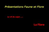 Présentations Faune et Flore Le vif du sujet ….. La Flore.