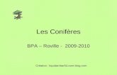 Les Conifères BPA – Roville - 2009-2010 Création : liquidambar54.over-blog.com.