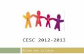 CESC 2012-2013 Bilan des actions. Association ADOT 91 6 classes de STS concernées, thématique inscrite au programme Retour positif: élèves et enseignants.