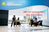 Www.cmontmorency.qc.ca Par Patrick Lalonde, Collège Montmorency Daniel Oligny, ATPIQ.