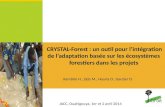 CRYSTAL-Forest : un outil pour lintégration de ladaptation basée sur les écosystèmes forestiers dans les projets JACC, Ouahigouya, 1er et 2 avril 2014.