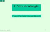 1 L aire du triangle. Bruno DELACOTE Type d activité : leçon illustrée.